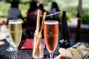 田径世界杯，全球顶尖运动的巅峰对决田径世界杯算世界冠军吗