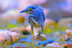 2014年世界杯，卡卡的惊艳表现与巴西足球的新生代卡卡2014世界杯