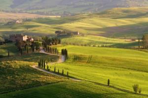 科技世界杯，科技与足球的完美结合科技世界杯